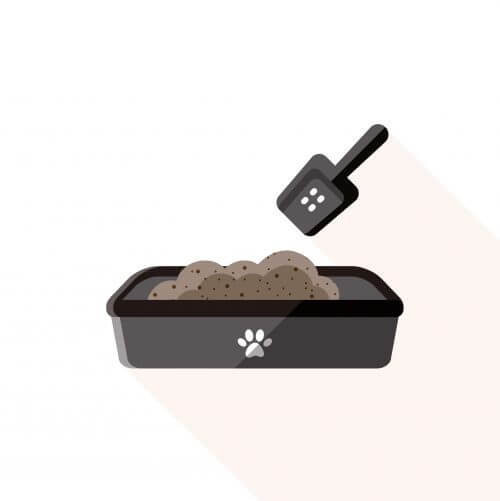 ワンちゃん トイレトレーニング