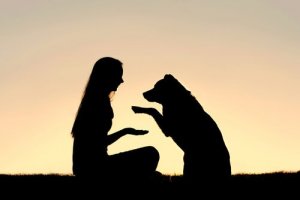 体罰を使わない犬のポジティブ・トレーニングについて