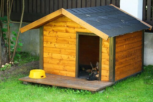 愛犬にぴったりな犬小屋を！気を付けたいポイント５つ