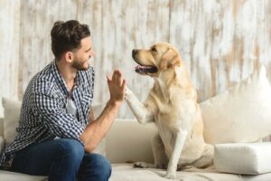 【ペットを飼おう】独身者がペットの里親となるメリット