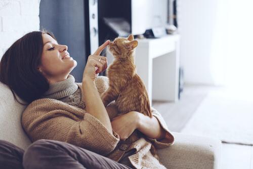 【あなたは大丈夫？】猫とうまくやっていく方法！