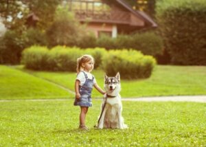 【動物が持つ方向感覚】犬は方向感覚に優れているの?