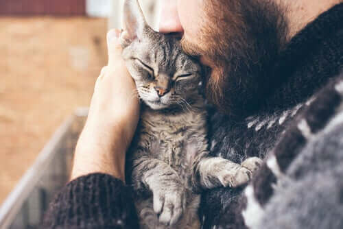 【猫の日は〇月〇日】世界で異なる国際猫の日