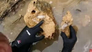 岩の中にいるリソレド・アバタニカ